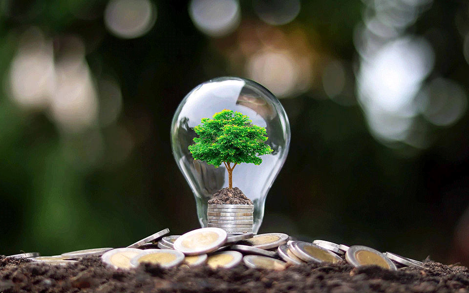 Portugal tem condições para ser líder europeu na produção industrial sustentável